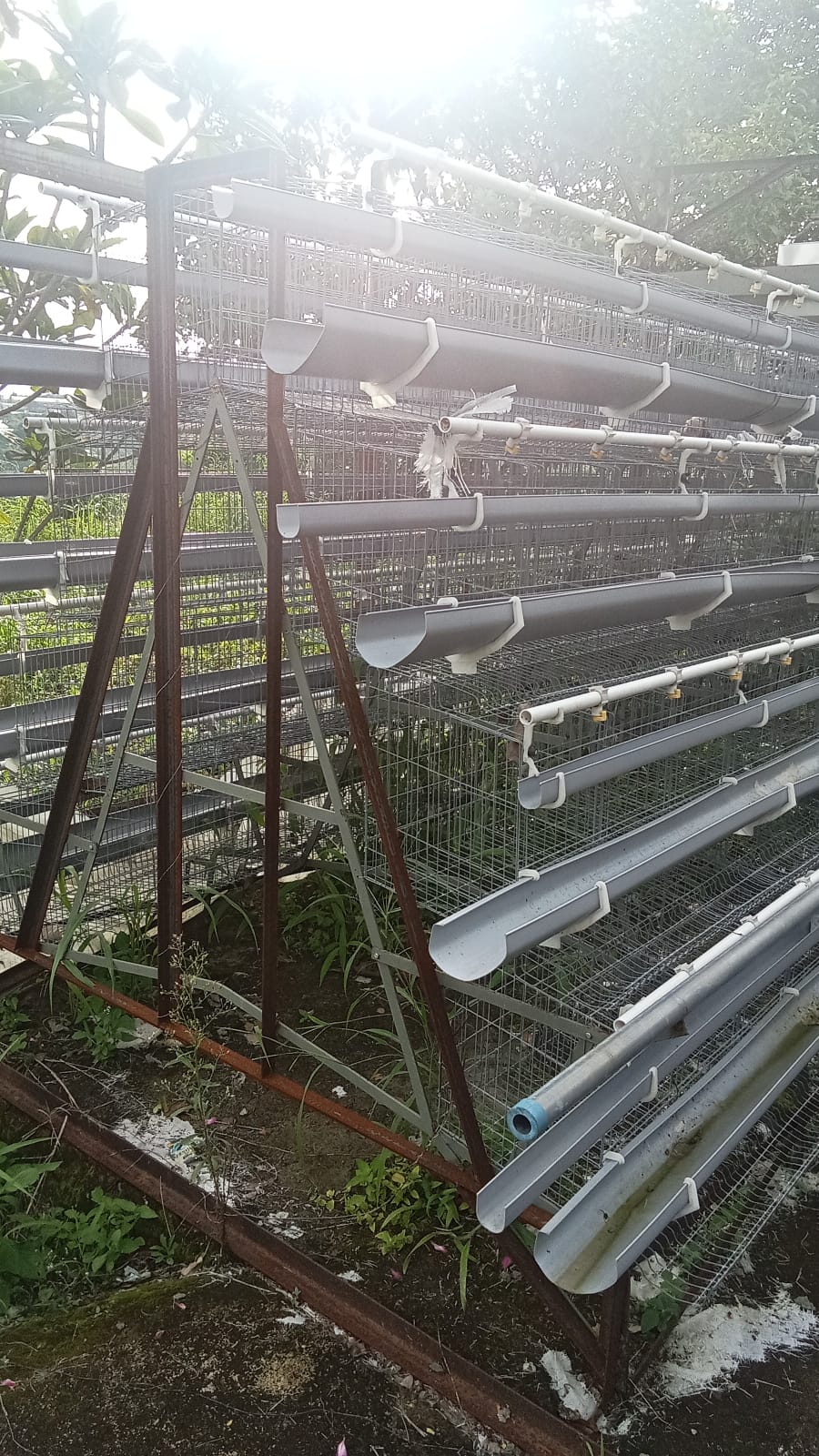 Sangkar Ayam Sukabumi